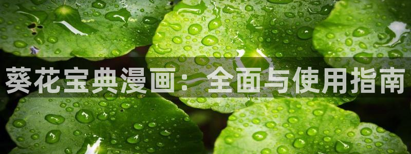 小伸进羞羞漫画：葵花宝典漫画：全面与使用指南